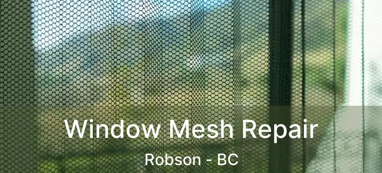  Window Mesh Repair Robson - BC
