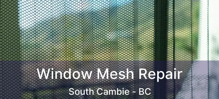  Window Mesh Repair South Cambie - BC