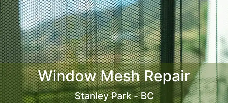  Window Mesh Repair Stanley Park - BC