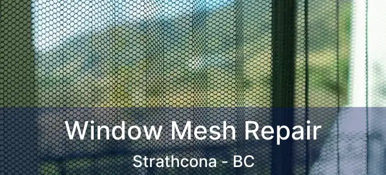  Window Mesh Repair Strathcona - BC