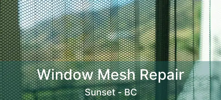  Window Mesh Repair Sunset - BC