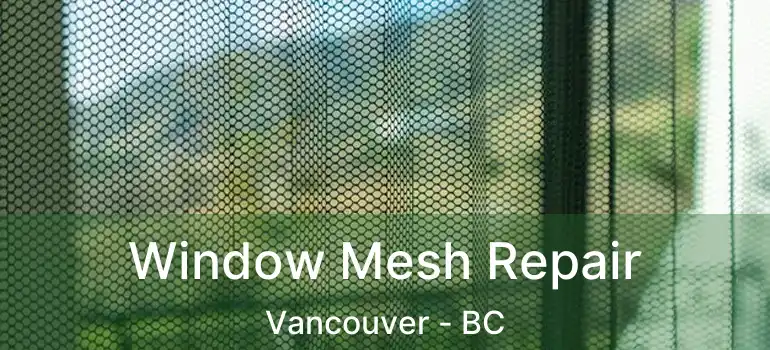  Window Mesh Repair Vancouver - BC
