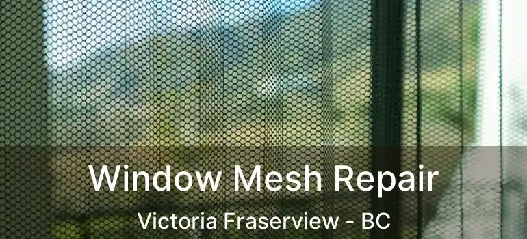  Window Mesh Repair Victoria Fraserview - BC
