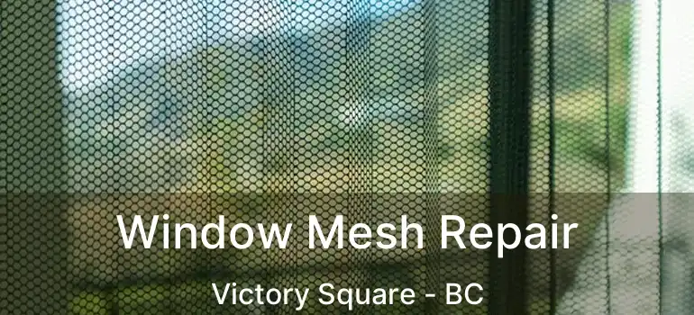  Window Mesh Repair Victory Square - BC