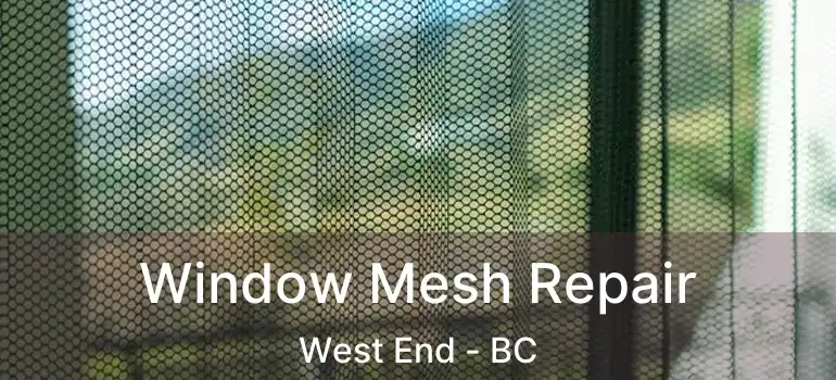  Window Mesh Repair West End - BC