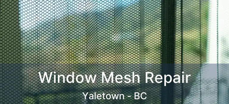  Window Mesh Repair Yaletown - BC