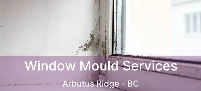  Window Mould Services Arbutus Ridge - BC