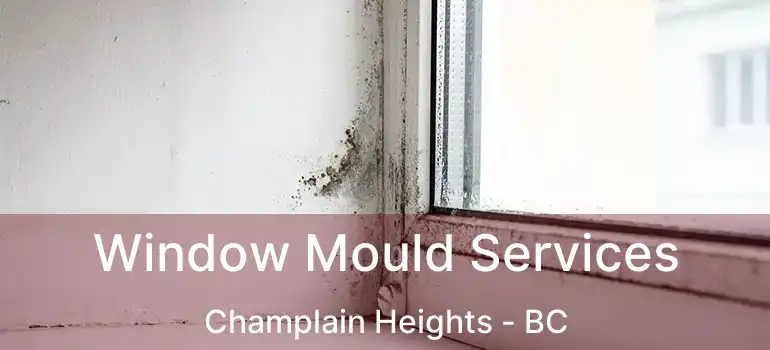  Window Mould Services Champlain Heights - BC