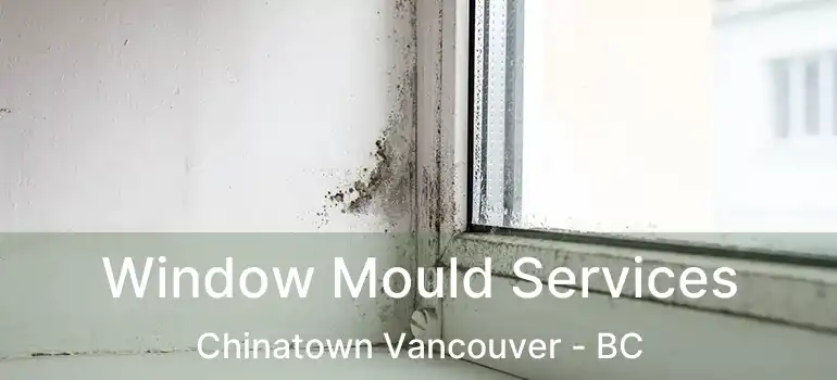  Window Mould Services Chinatown Vancouver - BC
