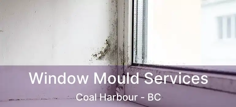  Window Mould Services Coal Harbour - BC