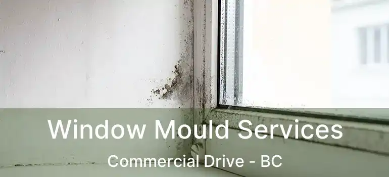  Window Mould Services Commercial Drive - BC