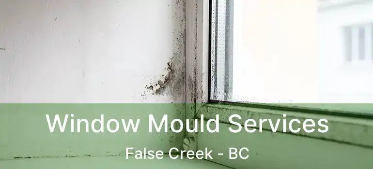  Window Mould Services False Creek - BC