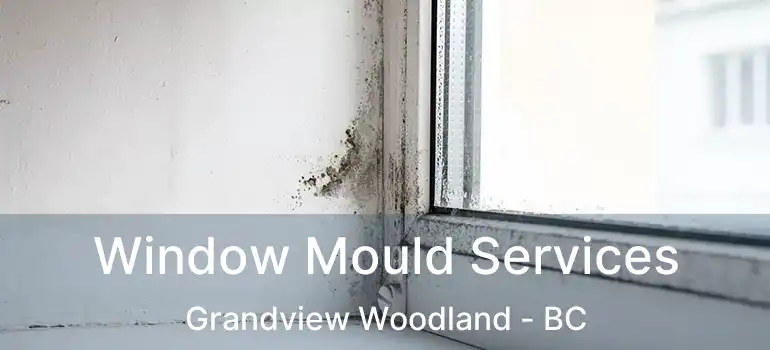  Window Mould Services Grandview Woodland - BC