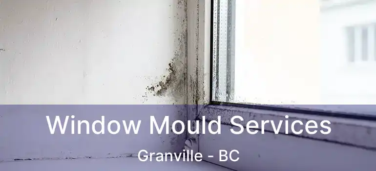  Window Mould Services Granville - BC
