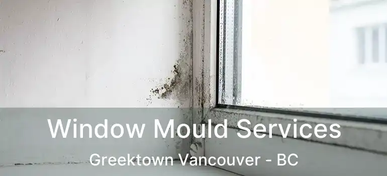  Window Mould Services Greektown Vancouver - BC
