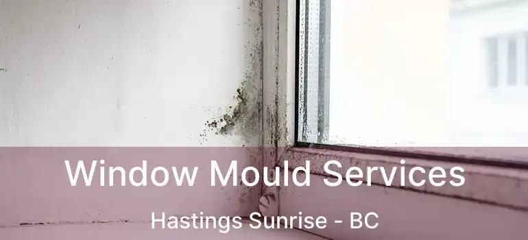  Window Mould Services Hastings Sunrise - BC