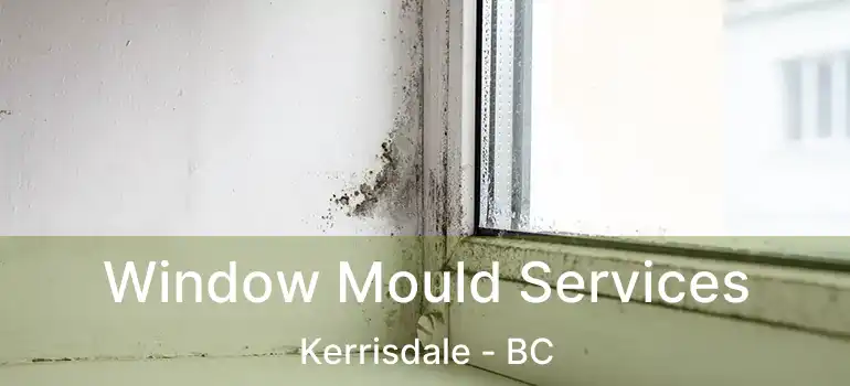  Window Mould Services Kerrisdale - BC
