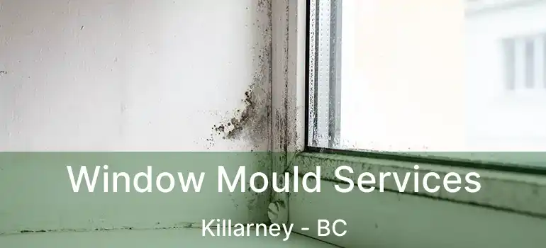  Window Mould Services Killarney - BC