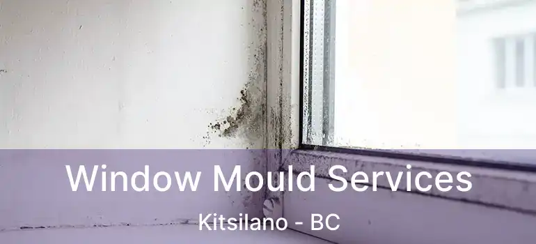  Window Mould Services Kitsilano - BC