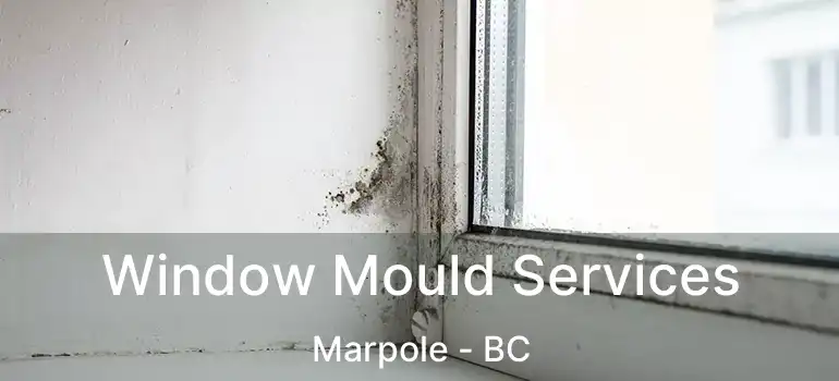  Window Mould Services Marpole - BC