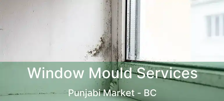  Window Mould Services Punjabi Market - BC