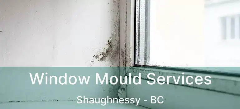  Window Mould Services Shaughnessy - BC