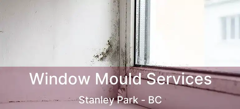  Window Mould Services Stanley Park - BC