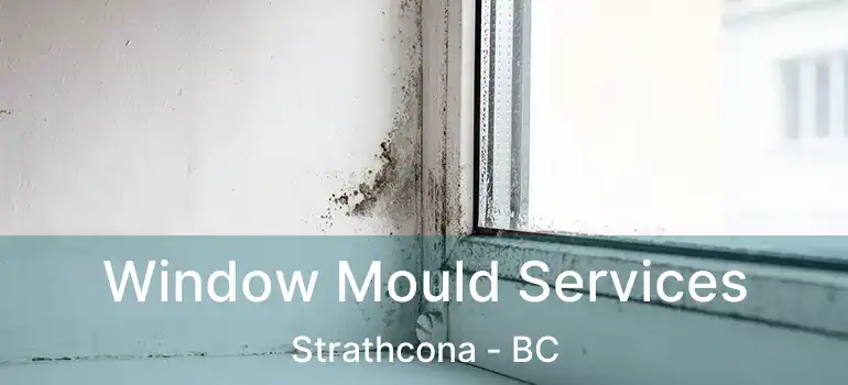  Window Mould Services Strathcona - BC