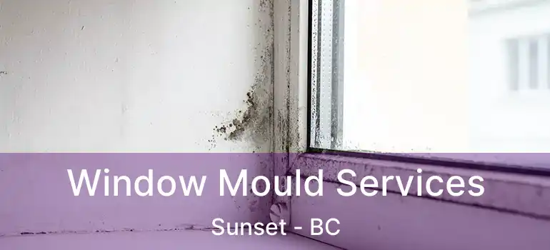  Window Mould Services Sunset - BC