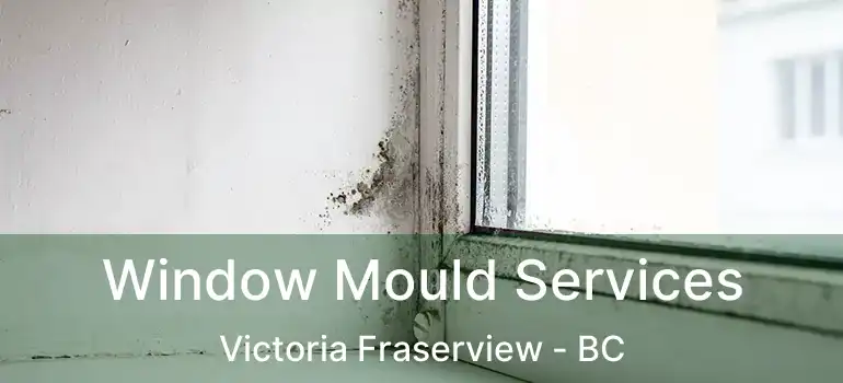  Window Mould Services Victoria Fraserview - BC