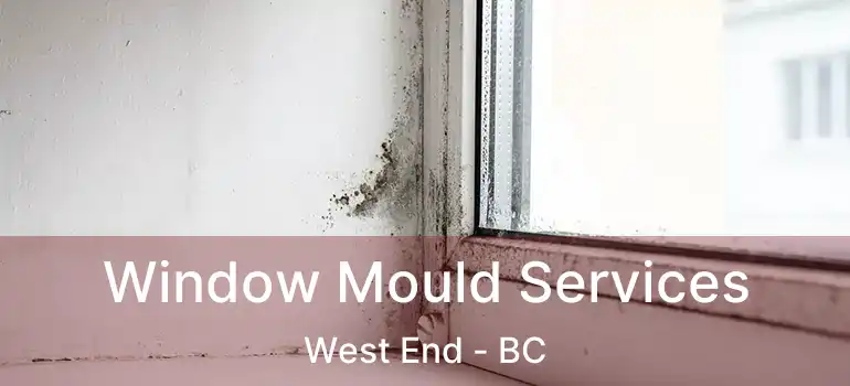  Window Mould Services West End - BC