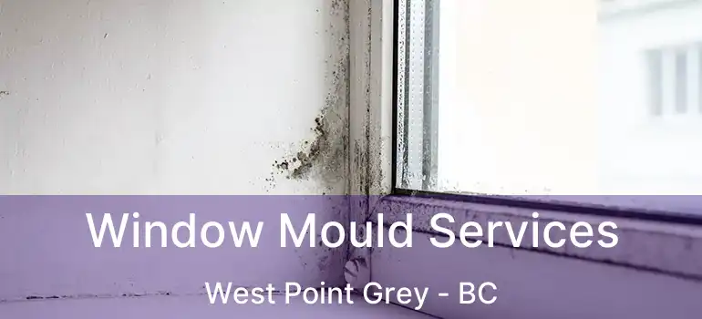  Window Mould Services West Point Grey - BC