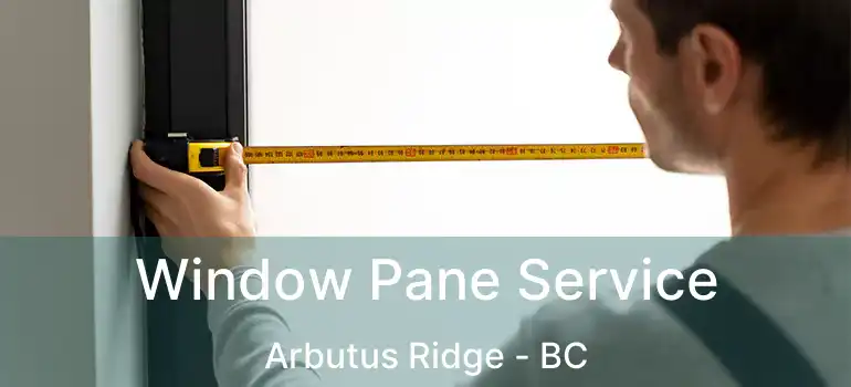  Window Pane Service Arbutus Ridge - BC