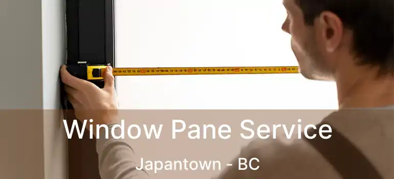 Window Pane Service Japantown - BC