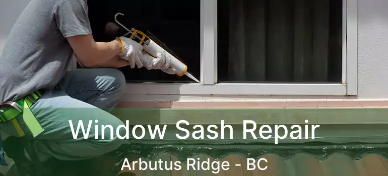  Window Sash Repair Arbutus Ridge - BC