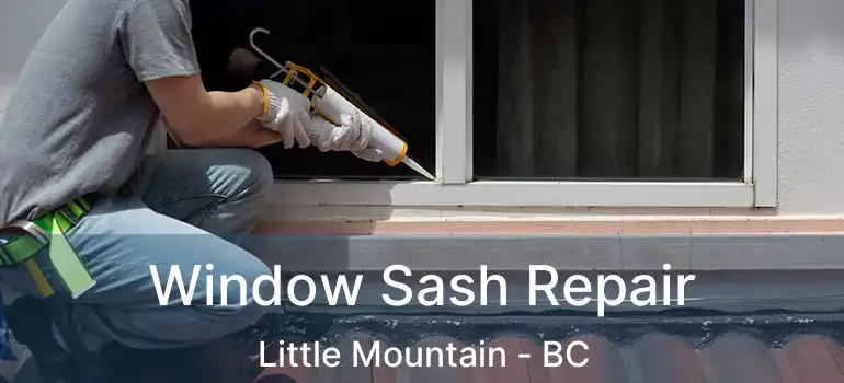  Window Sash Repair Little Mountain - BC