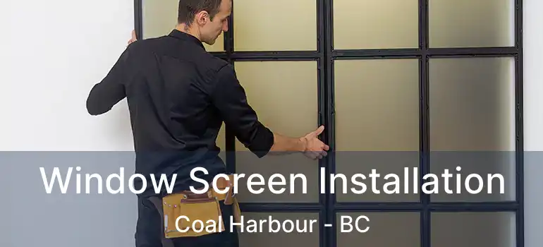  Window Screen Installation Coal Harbour - BC