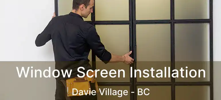  Window Screen Installation Davie Village - BC