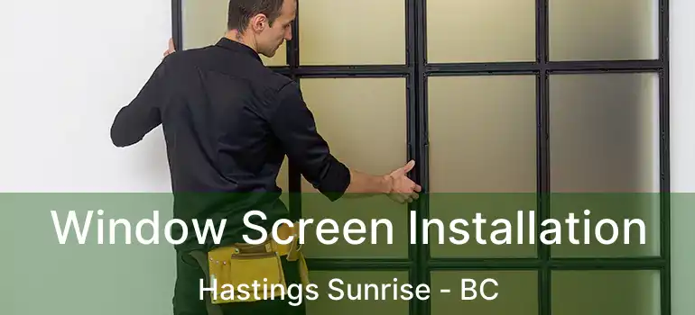  Window Screen Installation Hastings Sunrise - BC