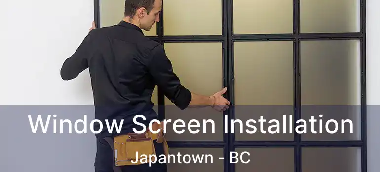  Window Screen Installation Japantown - BC