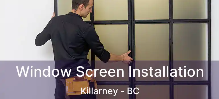  Window Screen Installation Killarney - BC