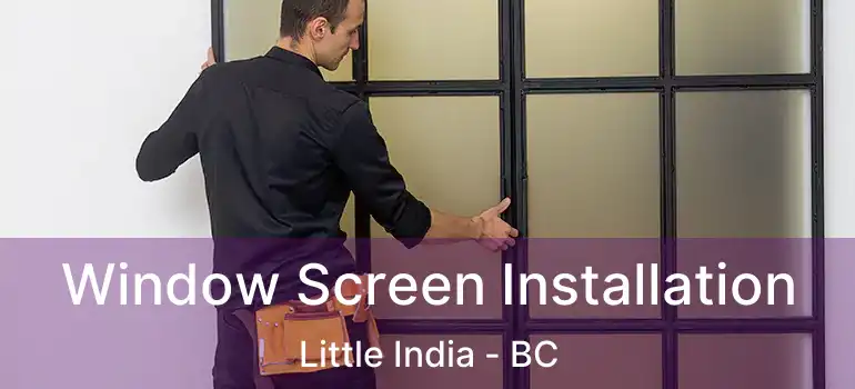  Window Screen Installation Little India - BC
