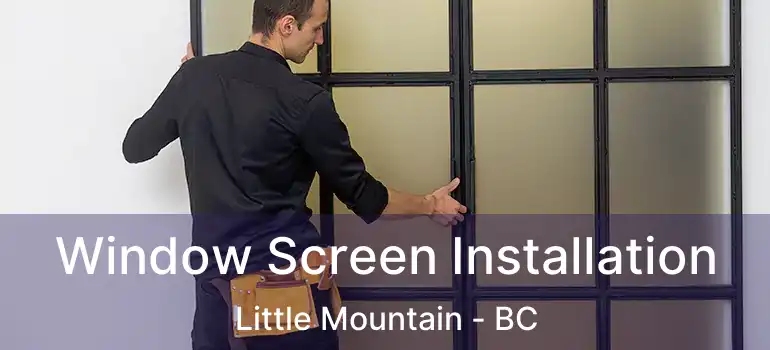 Window Screen Installation Little Mountain - BC