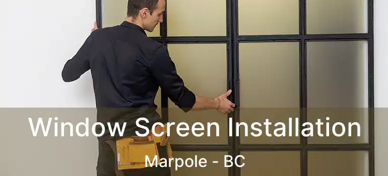  Window Screen Installation Marpole - BC