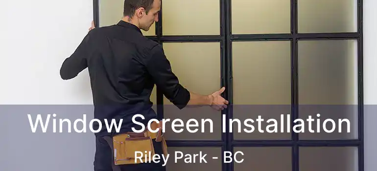  Window Screen Installation Riley Park - BC