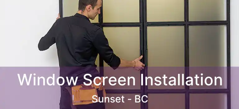  Window Screen Installation Sunset - BC