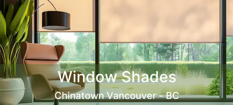  Window Shades Chinatown Vancouver - BC