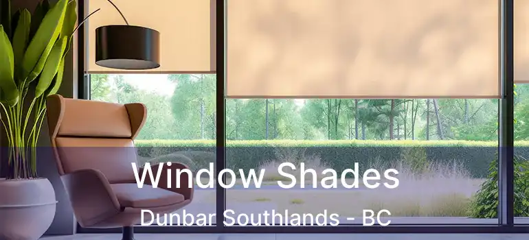  Window Shades Dunbar Southlands - BC