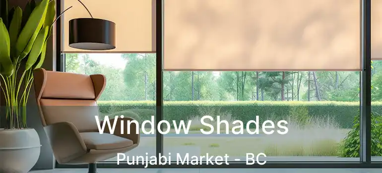  Window Shades Punjabi Market - BC