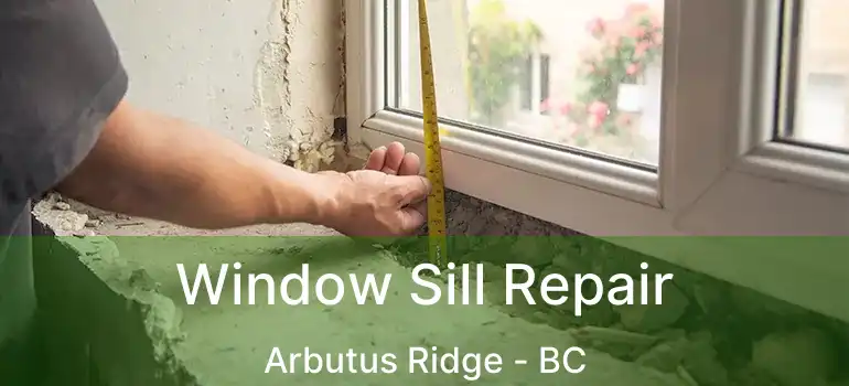  Window Sill Repair Arbutus Ridge - BC